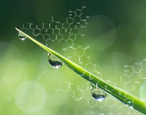 guide d'achat produits d'hygiène écologiques