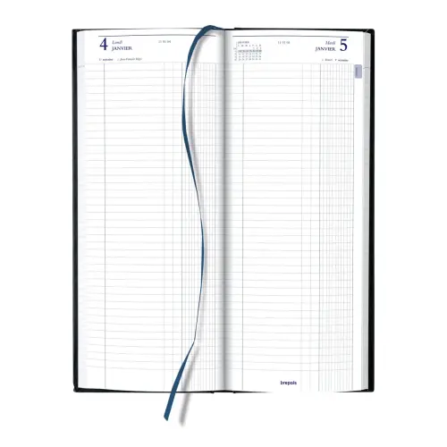 Agenda journalier banque Euros/cents - 12,8x33 cm - Noir - Janvier à décembre - BREPOLS