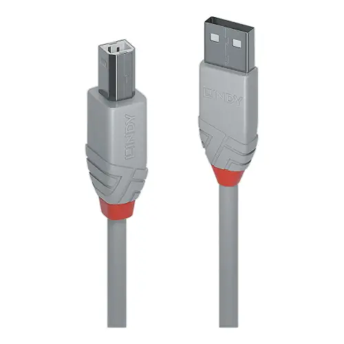 C&acirc;ble USB 2.0 - Type A m&acirc;le / B m&acirc;le - 1 m&egrave;tre - LINDY 