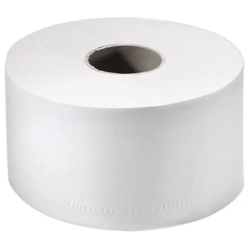 12 Rouleaux de papier toilette mini Jumbo - Double épaisseur - Papernet
