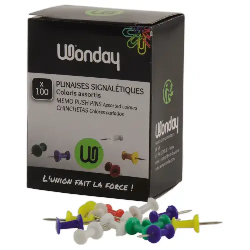 100 Punaises push-pins