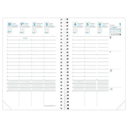 Agenda semainier Time Life - 10x15 cm - Cuivre - Janvier à décembre - QUO VADIS