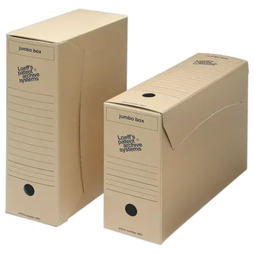 25 Bo&icirc;tes &agrave; archives Jumbo Box - Dos 11.5 cm - FELLOWES 