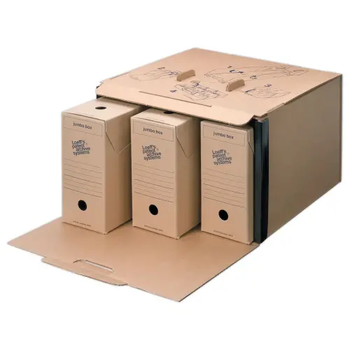 25 Bo&icirc;tes &agrave; archives Jumbo Box - Dos 11.5 cm - FELLOWES 