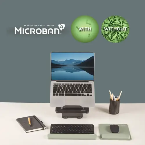 Repose-poignets clavier Breyta - Vert Sauge - FELLOWES 