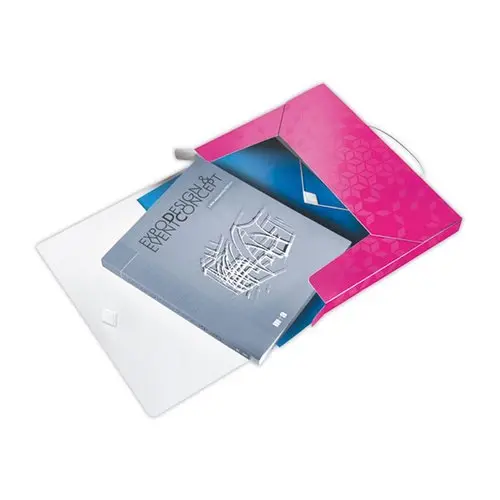 Boîte de classement plastique WOW - Rose - LEITZ