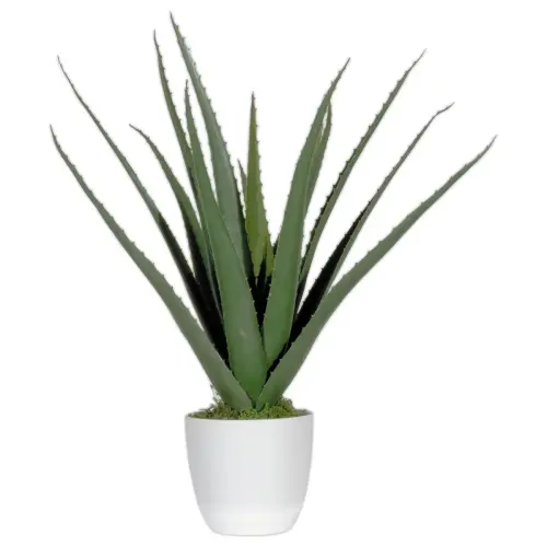 Plante artificielle Aloe vera - H 45 cm