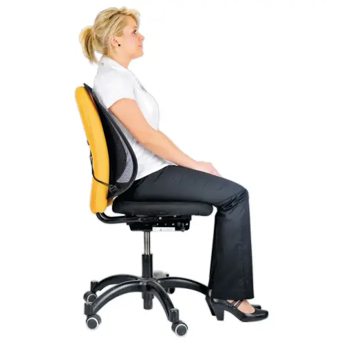 Support dorsal en maille Office Suites - FELLOWES