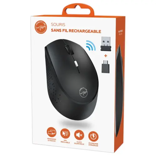 Souris Sans Fil Dual Dongle USB-C - Rechargeable - MOBILITY LAB