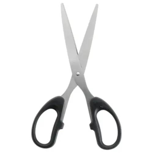 Paire de ciseaux symétriques - 20 cm