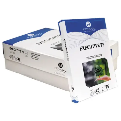 500 feuilles papier green A3 75g blanc