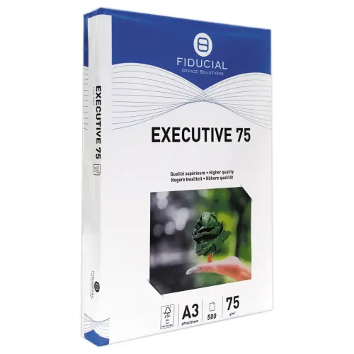 500 feuilles papier green A3 75g blanc