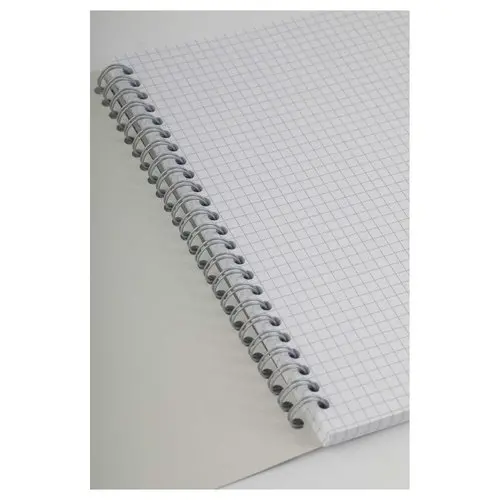 Cahier &agrave; spirales 70g - 17 x 22 cm - 180 pages - 5x5 - FIDUCIAL 