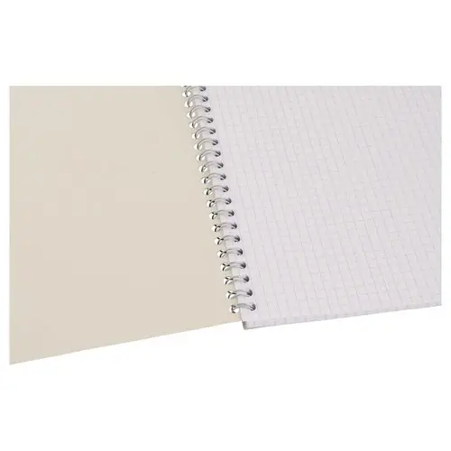 Cahier &agrave; spirales A4 - 100 pages - 5x5 - FIDUCIAL 