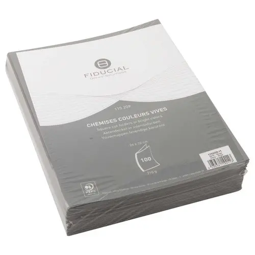 100 Chemises cartonnées colorées - Gris - FIDUCIAL