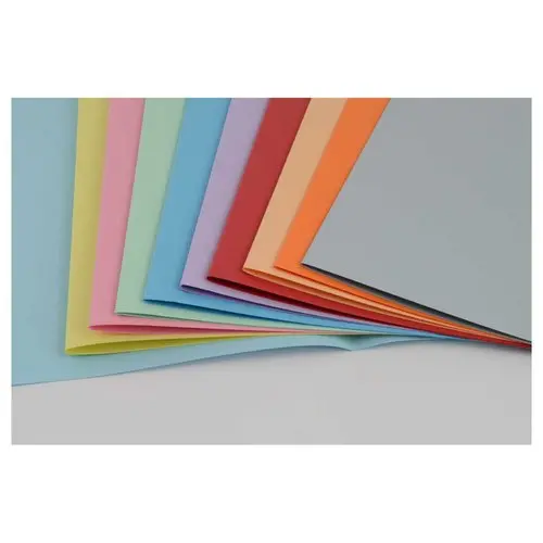 100 Chemises pastel - 24x32 cm - FIDUCIAL