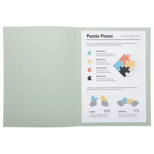 100 Chemises A4+ - gris pastel - 220g - FIDUCIAL OFFICE SOLUTIONS 