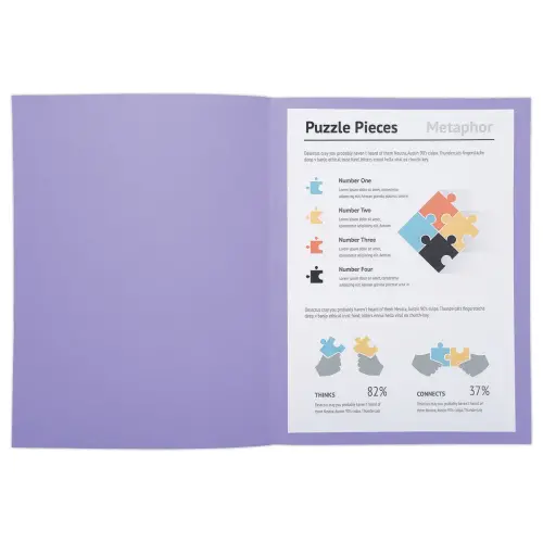 100 Chemises A4+ - violet pastel - 220g - FIDUCIAL OFFICE SOLUTIONS 