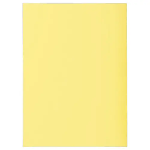 250 Sous chemises - 22x31 cm- 60g - jaune pastel - FIDUCIAL