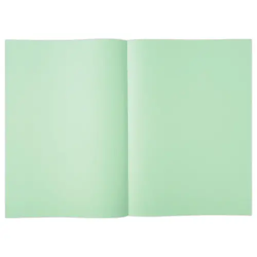 250 Sous chemises - 22x31 cm- 60g - vert pastel - FIDUCIAL