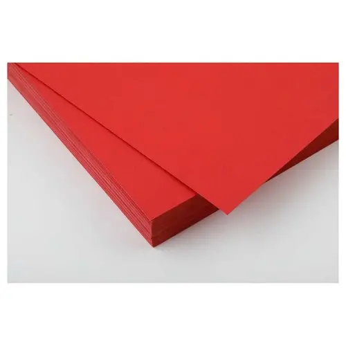 100 Couvertures A4 grain cuir - Rouge - Fellowes 