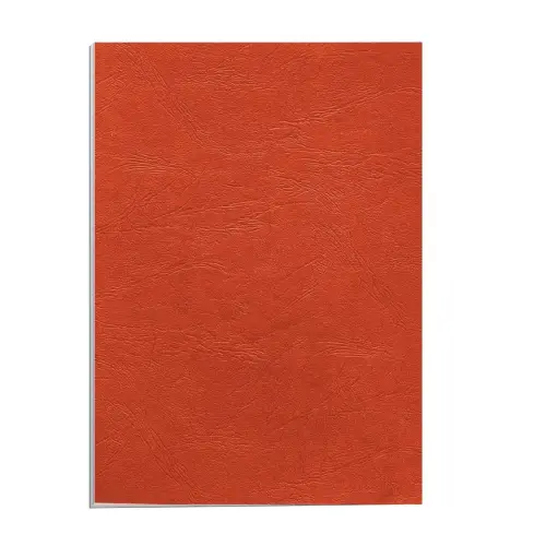 100 Couvertures A4 grain cuir - Rouge - Fellowes 