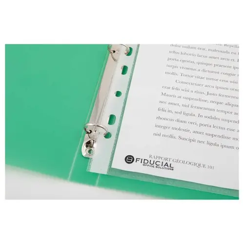 Classeur translucide coloré 4 anneaux, dos 2 cm - Vert - FIDUCIAL