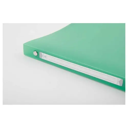 Classeur translucide coloré 4 anneaux, dos 2 cm - Vert - FIDUCIAL