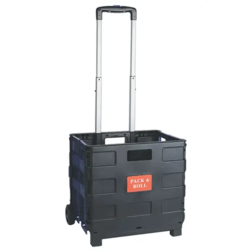 Bac de transport pliable