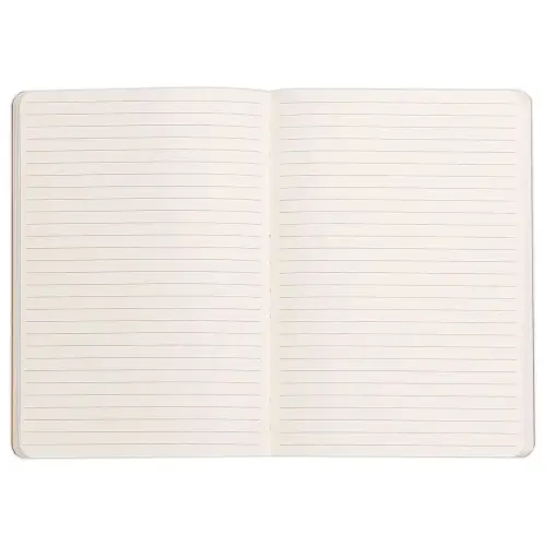 Carnet broch&eacute; Rhodiarama - A5 - 160 pages - noire - RHODIA 