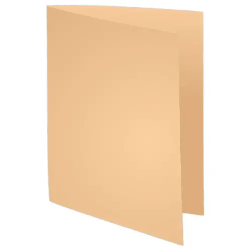100 Chemises de rangement Forever 170 - Bulle - EXACOMPTA 