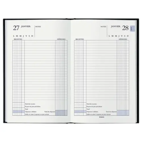 Agenda journalier perp&eacute;tuel pour recettes et d&eacute;penses - Janvier &agrave; d&eacute;cembre - 13 x 20,8 cm - Noir - BREPOLS 