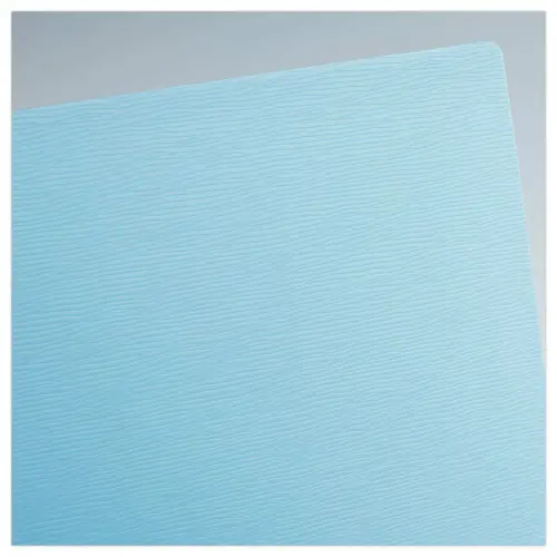 Protège documents - 50 poches - A4 - bleu clair - FIDUCIAL