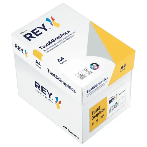 Ramette de 500 feuilles de papier blanc - A4 - 80G - TEXT AND GRAPHICS 