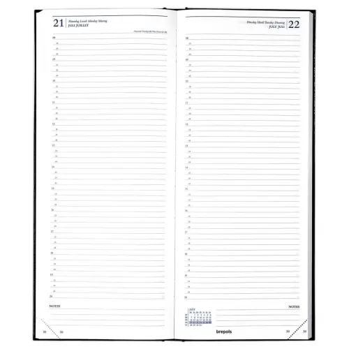 Agenda long cousu  Saturnus 101-1 jour/2 pages 12,8 x 33 cm - Janvier &agrave; d&eacute;cembre - BREPOLS 