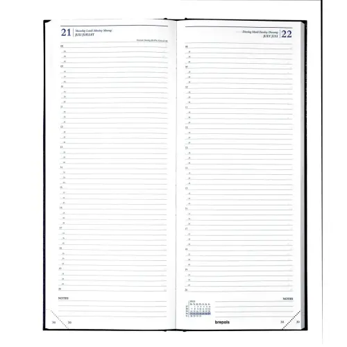 Agenda journalier banque Saturnus Travers - 12,8x33 cm - Noir - Janvier à décembre - BREPOLS