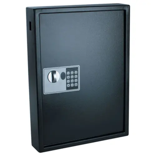 Armoire &agrave; cl&eacute; haute s&eacute;curit&eacute; 50 cl&eacute;s 