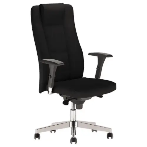 Fauteuil cuir INVITUS