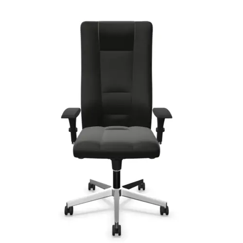 Fauteuil cuir INVITUS