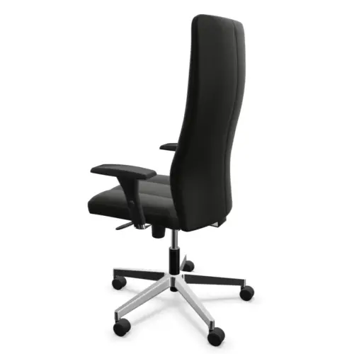Fauteuil cuir INVITUS