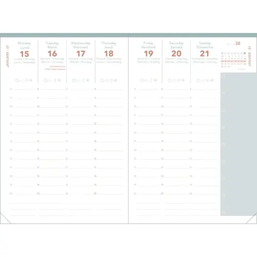 Agenda CELESTE - Ao&ucirc;t 2026 &agrave; Juillet 2027 - 10 x 15 cm - Quo Vadis 