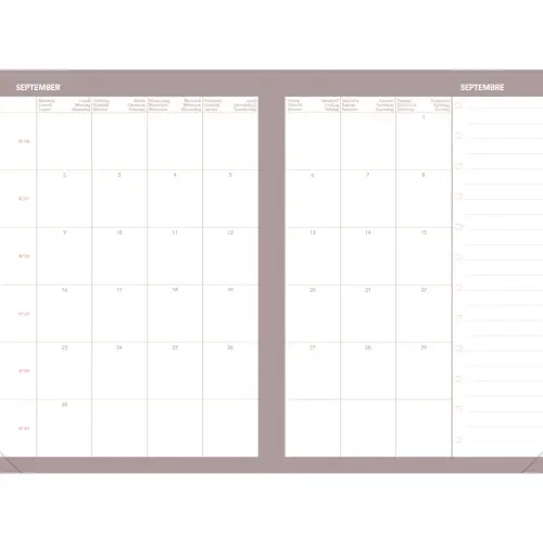Agenda CELESTE - Ao&ucirc;t 2026 &agrave; Juillet 2027 - 10 x 15 cm - Quo Vadis 
