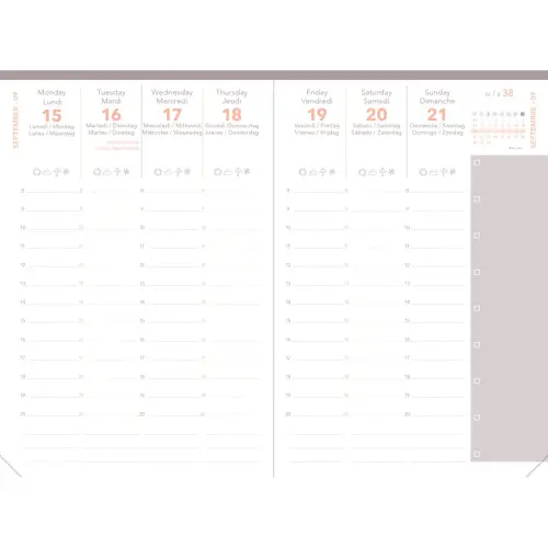 Agenda CELESTE - Ao&ucirc;t 2026 &agrave; Juillet 2027 - 10 x 15 cm - Quo Vadis 