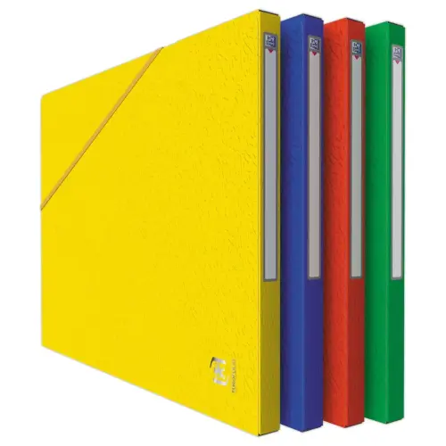 10 Chemises - Alpina - Carte lustr&eacute;e - coloris assortis - OXFORD 