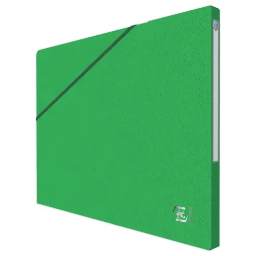 10 Chemises - Alpina - Carte lustrée - Vert - OXFORD