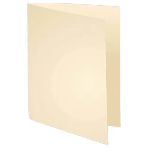 100 Chemises 24 x 32 cm Super 210 - Beige - Exacompta 