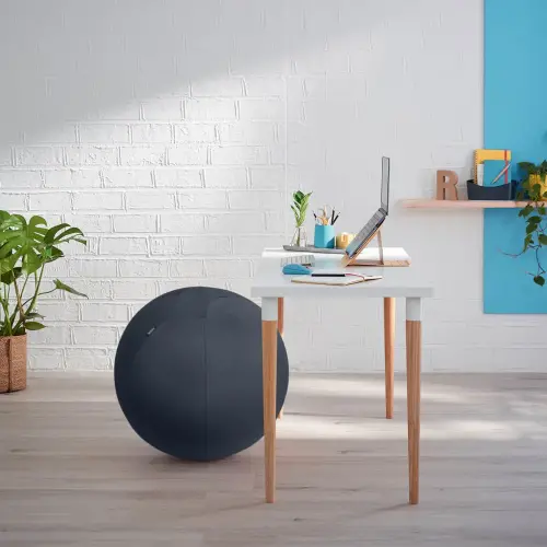 Ballon assise ergonomique Ergo Cosy Active - Ø 65 cm - Noir - Leitz