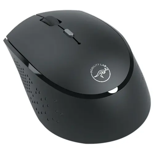 Souris sans fil USB-C rechargeable