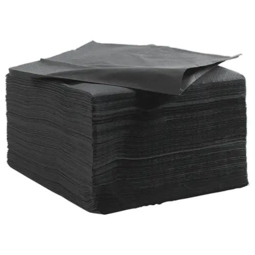 125 serviettes double &eacute;paisseur - 33x33cm - Noir - DUNI 