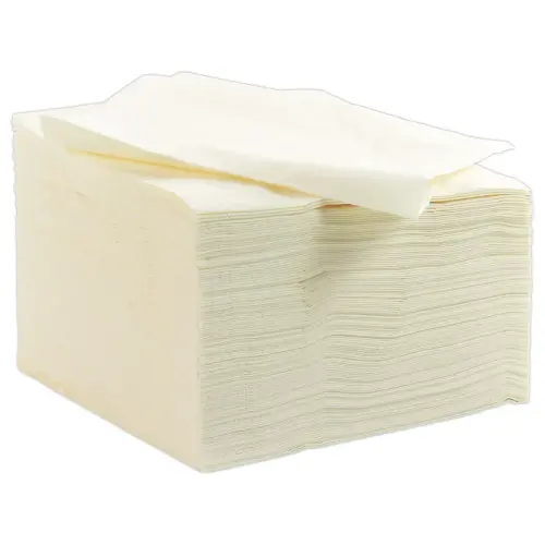 125 Serviettes double &eacute;paisseur - 33x33cm - Blanc cass&eacute; - DUNI 